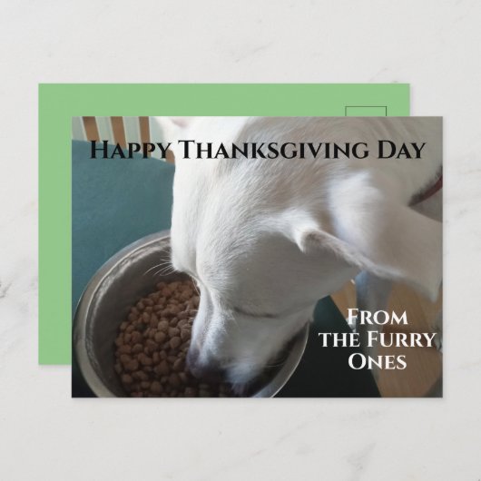 待ち切れない空腹の犬のかわいい食べ写真 ポストカード (正面/裏面)