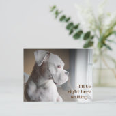 待ち合わせ用白箱はがき ポストカード (スタンド正面)