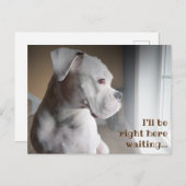 待ち合わせ用白箱はがき ポストカード (正面/裏面)