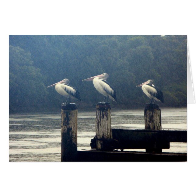 待ち時間 (正面横)