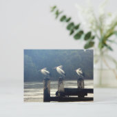 待ち時間 ポストカード (スタンド正面)