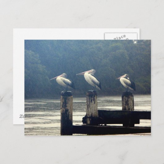 待ち時間 ポストカード (正面/裏面)