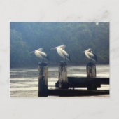 待ち時間 ポストカード (正面)