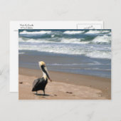 待ち葉書 ポストカード (正面/裏面)