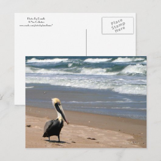 待ち葉書 ポストカード (正面/裏面)