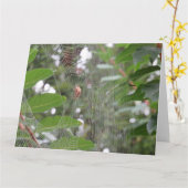 待ち蜘蛛 カード (黄色い花)