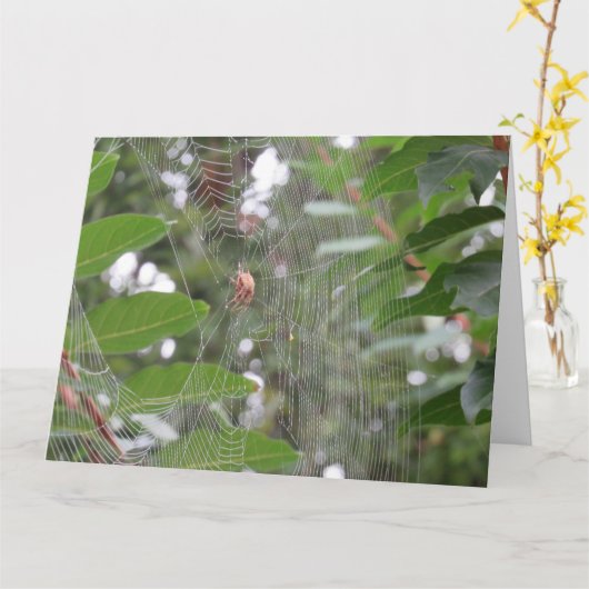 待ち蜘蛛 カード (黄色い花)