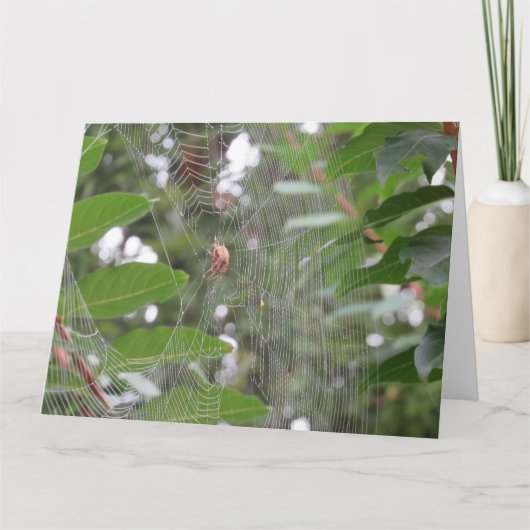 待ち蜘蛛 カード (正面)