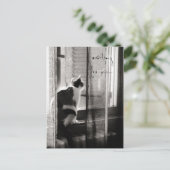 待っています-郵便はがき ポストカード (スタンド正面)