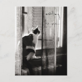 待っています-郵便はがき ポストカード