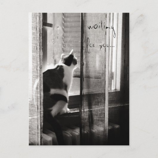 待っています-郵便はがき ポストカード (正面)