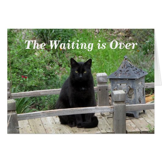 待っていることは前結婚式カードにあります (正面横)