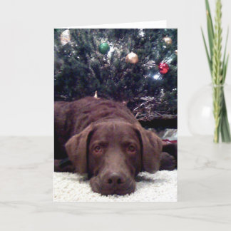 待っているサンタ シーズンカード