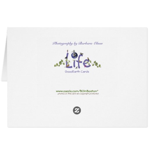 待っている春 (裏面横)