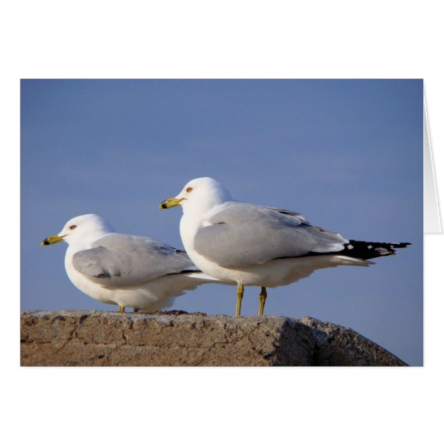 待っている離昇 (正面横)