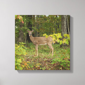 待っている キャンバスプリント