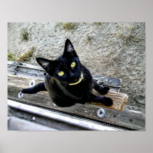 待っている ポスター (正面)