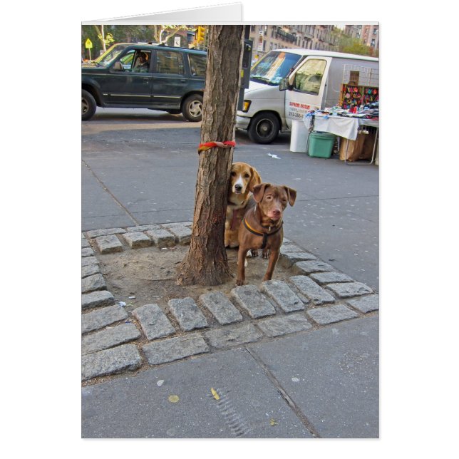 待っている… 5x7 (正面)