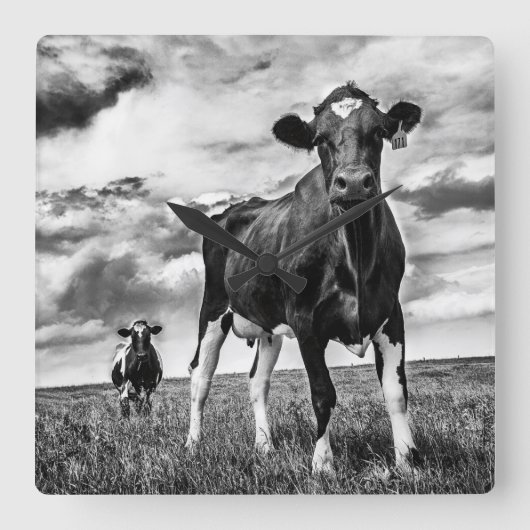 待っているBWの穀物 スクエア壁時計 (正面)