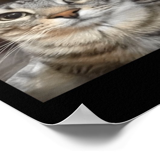 待って俺は馬鹿にされた! 馬鹿猫ミーム ポスター (角)