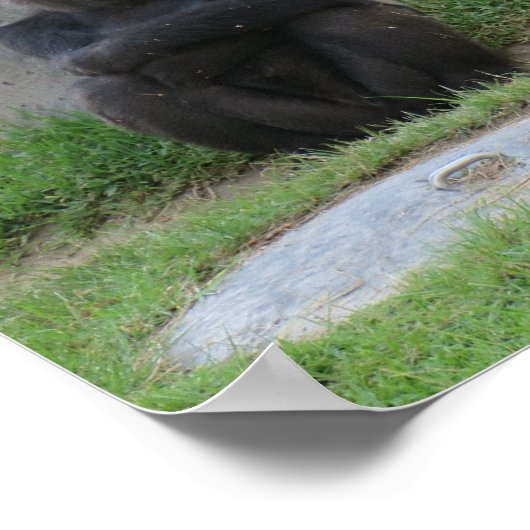 待って見よう ポスター (角)