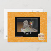 待つ ポストカード (正面/裏面)