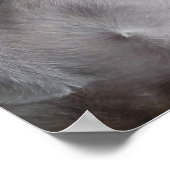 待つ:白ボクサー ポスター (角)