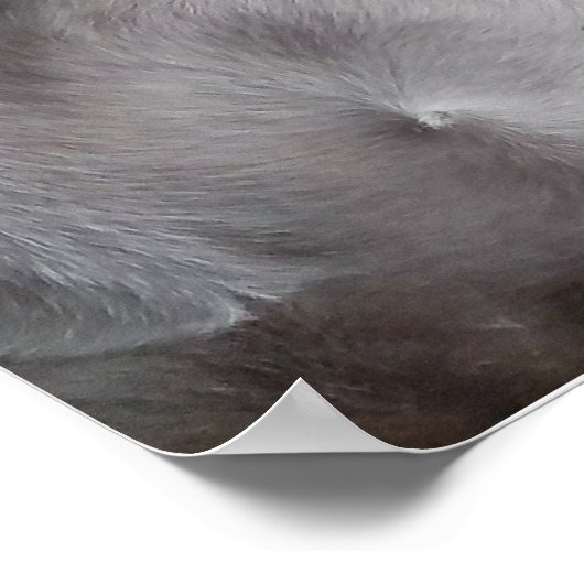 待つ：白ボクサー ポスター (角)