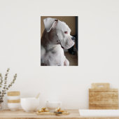 待つ:白ボクサー ポスター (キッチン)