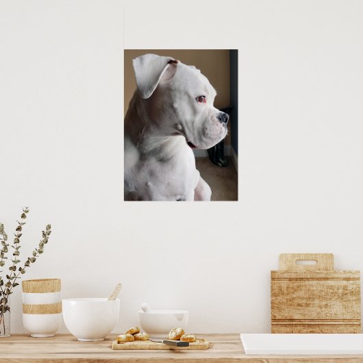 待つ:白ボクサー ポスター (キッチン)