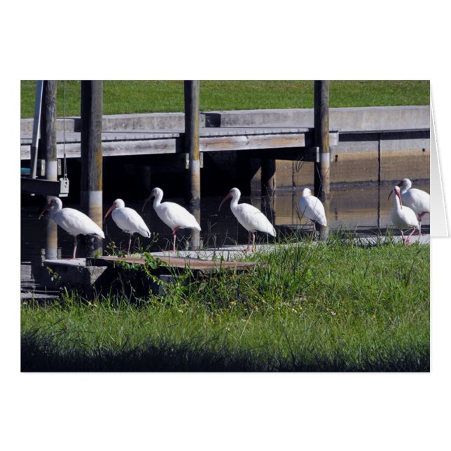 待機中… (正面横)