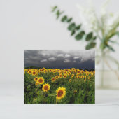 待機中、はがき ポストカード (スタンド正面)