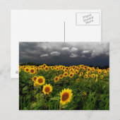 待機中、はがき ポストカード (正面/裏面)