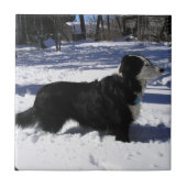 待機中 タイル (正面)