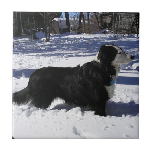 待機中 タイル (正面)