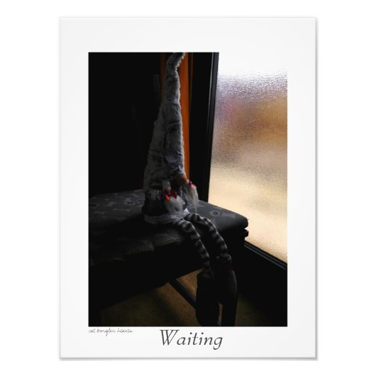 待機中 フォトプリント            (正面)