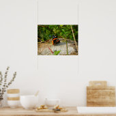 待機中 ポスター (キッチン)