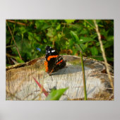 待機中 ポスター (正面)