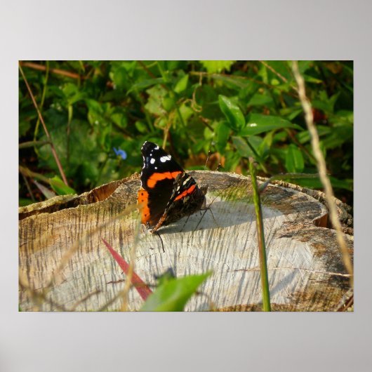 待機中 ポスター (正面)