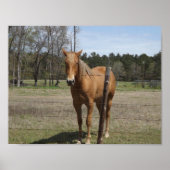 待機中 ポスター (正面)