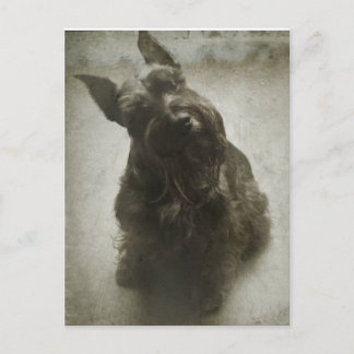 待機中 ポストカード