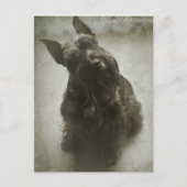 待機中 ポストカード (正面)