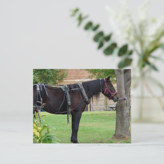 待機中 ポストカード (スタンド正面)