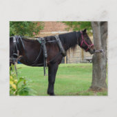 待機中 ポストカード (正面)