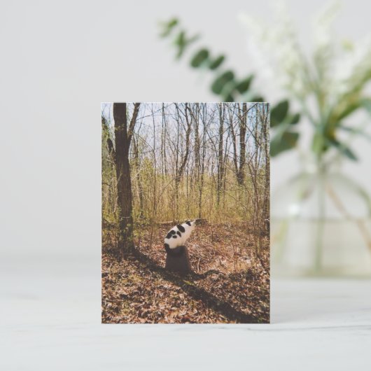 待機中… ポストカード (スタンド正面)