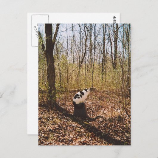 待機中… ポストカード (正面/裏面)