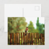 待機中 ポストカード (正面/裏面)