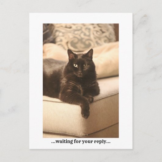 ...待機中…ポストカード シーズンポストカード (正面)