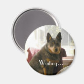 待機中… マグネット (正面/裏面)