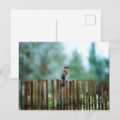 待機(_L) ポストカード (正面/裏面)